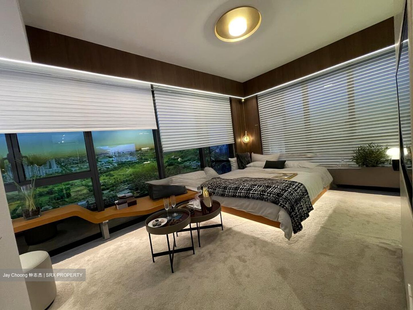 J'den (D22), Apartment #459741871